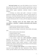 Darbuotojų motyvavimo darbui programa 11 puslapis