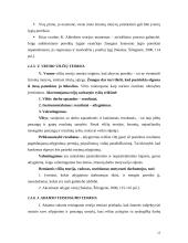Darbuotojų motyvavimo darbui programa 13 puslapis