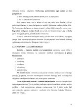 Darbuotojų motyvavimo darbui programa 14 puslapis
