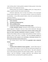 Darbuotojų motyvavimo darbui programa 18 puslapis