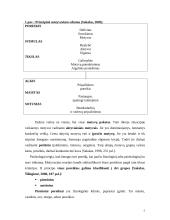 Darbuotojų motyvavimo darbui programa 5 puslapis