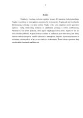 Negalios fenomenas: požiūriai, problemos perspektyvos 2 puslapis