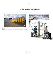 Negalios fenomenas: požiūriai, problemos perspektyvos 9 puslapis