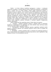 Darbuotojų vertybinės orientacijos: vadovas 3 puslapis