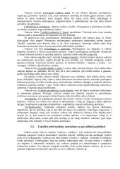 Darbuotojų vertybinės orientacijos: vadovas 10 puslapis