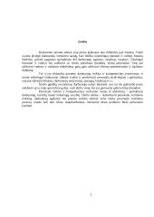 Darbuotojų vertinimas 2 puslapis
