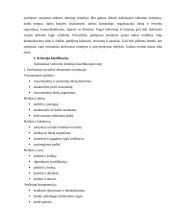 Darbuotojų vertinimo kriterijų ypatumai įvairiuose versluose 5 puslapis