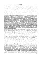 Savanorių įtraukimo į socialinių paslaugų teikimą valdymas savivaldybėje  9 puslapis