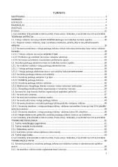 Savanorių įtraukimo į socialinių paslaugų teikimą valdymas savivaldybėje  3 puslapis