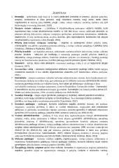 Savanorių įtraukimo į socialinių paslaugų teikimą valdymas savivaldybėje  7 puslapis