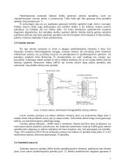 Daugiaspindulinių palydovų antenų privalumai ir trūkumai 7 puslapis