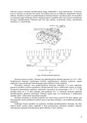 Daugiaspindulinių palydovų antenų privalumai ir trūkumai 8 puslapis