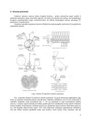 Daugiaspindulinių palydovų antenų privalumai ir trūkumai 9 puslapis