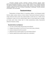 Dažniausiai klaidingai vartojami linksniai 7 puslapis