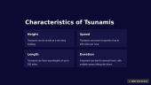 The Fury of Tsunamis 3 puslapis