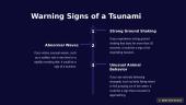 The Fury of Tsunamis 4 puslapis