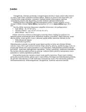 Debito matavimo principas 2 puslapis