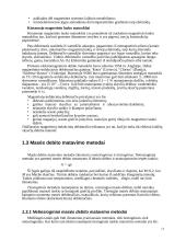 Debito matavimo principas 11 puslapis