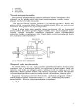 Debito matavimo principas 12 puslapis