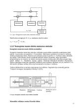 Debito matavimo principas 13 puslapis