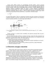 Debito matavimo principas 14 puslapis