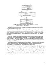 Debito matavimo principas 5 puslapis