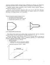 Debito matavimo principas 7 puslapis