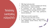 Teisiniai santykiai (teisės pagrindai) 16 puslapis