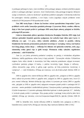 Defliacijos samprata ir jos apraiškos Lietuvos ekonomikoje 11 puslapis