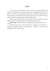 Demografinė situacija Lietuvoje 2 puslapis