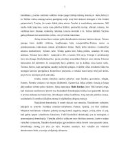 Demokratijos istorija ir režimas 4 puslapis