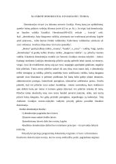 Kas yra demokratija? 2 puslapis