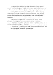 Kas yra demokratija? 3 puslapis