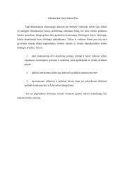 Kas yra demokratija? 4 puslapis