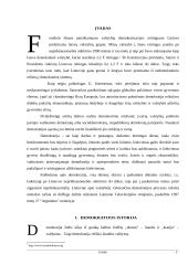 Demokratijos istorija, autonomija bei etapai Lietuvoje 2 puslapis