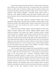 Demokratijos istorija, autonomija bei etapai Lietuvoje 13 puslapis