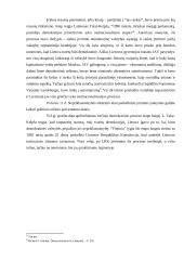 Demokratijos istorija, autonomija bei etapai Lietuvoje 17 puslapis