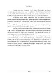 Demokratijos istorija, autonomija bei etapai Lietuvoje 18 puslapis