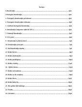 Viskas apie demokratiją 2 puslapis