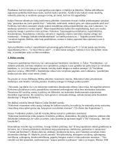 Viskas apie demokratiją 11 puslapis