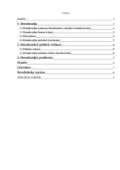 Demokratija. Demokratinis politinis režimas 2 puslapis