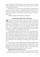 Demokratija. Demokratinis politinis režimas 11 puslapis