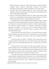 Demokratija. Demokratinis politinis režimas 14 puslapis