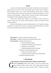 Demokratija. Demokratinis politinis režimas 3 puslapis