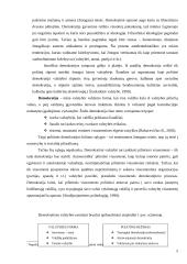 Demokratija. Demokratinis politinis režimas 5 puslapis