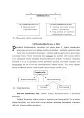 Demokratija. Demokratinis politinis režimas 6 puslapis