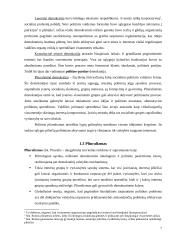 Demokratija. Demokratinis politinis režimas 7 puslapis