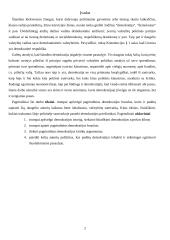 Demokratijos bruožai ir demokratijos kritika 2 puslapis