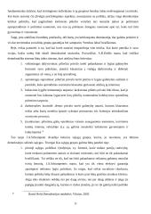 Demokratijos bruožai ir demokratijos kritika 11 puslapis