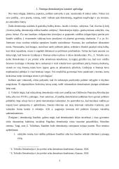 Demokratijos bruožai ir demokratijos kritika 3 puslapis